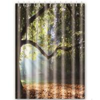 F 8606 Шторка для ванны  F 8606 Шторка для ванны